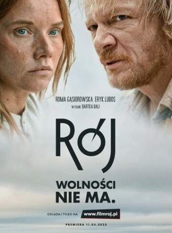 Рой