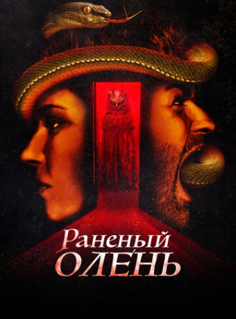 Раненый оленёнок