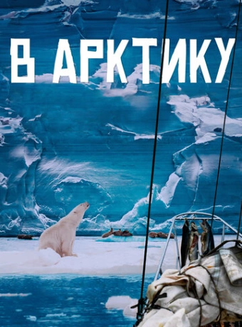 В Арктику