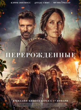 Спящая