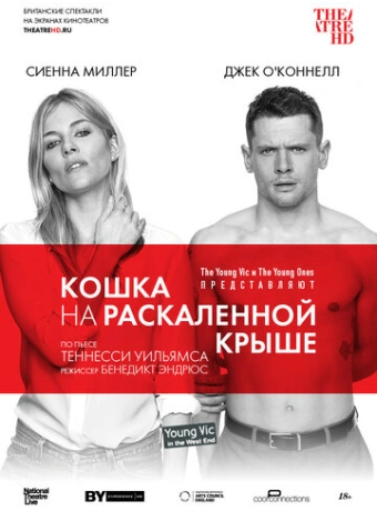 Кошка на раскалённой крыше
