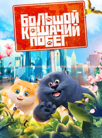 Большой кошачий побег