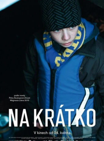 Ненадолго