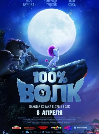 100% Волк