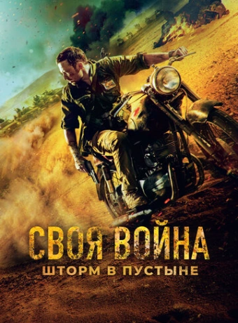 Своя война. Шторм в пустыне