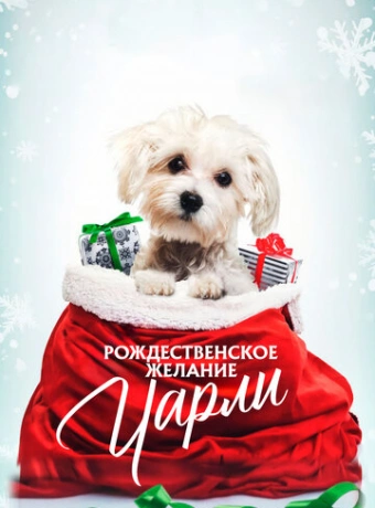Рождественское желание Чарли