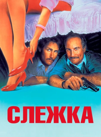 Слежка