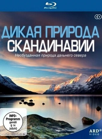 Дикая природа Скандинавии