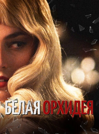 Белая орхидея